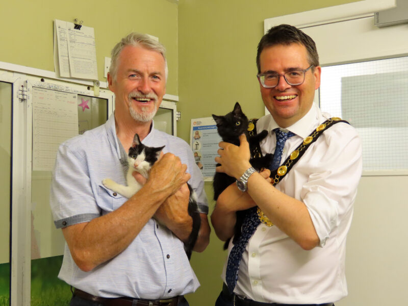 Photo Credit: Cats Protection - Huw Irranca-Davies MS, Mayor Cllr Huw David with kittens Tinky and Winky